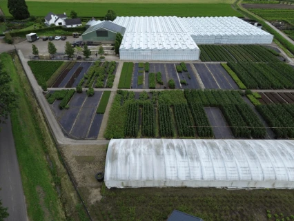 Boomkwekerij A. Jochems consciously opts for DCM VIVIFOS®, DCM NK-MIX and DCM VIVISOL® Thumb