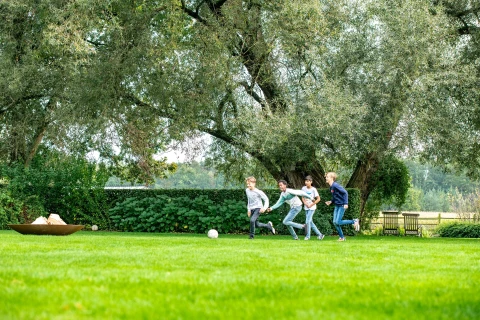 Annual fertiliser plan for a green and dense lawn Thumb