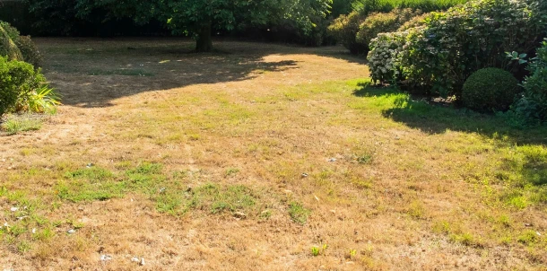 How can you tell if your soil is water-repellent? Thumb