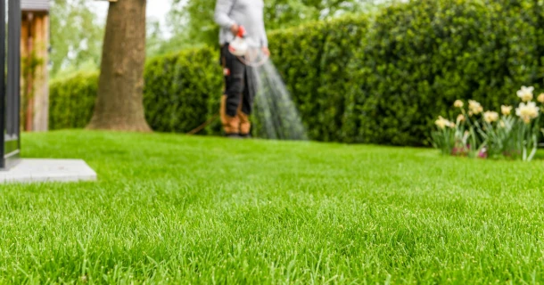 Trial result DCM LIQUID GREEN Thumb