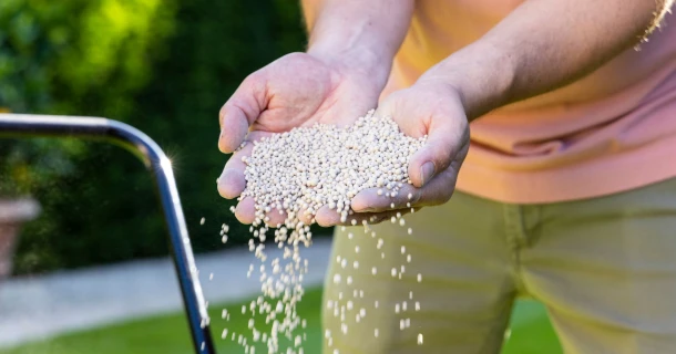 Why apply lime in the garden and when is the best time Thumb