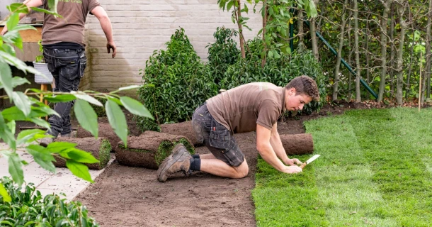 DCM VIVIFOS® ideal when laying turf Thumb