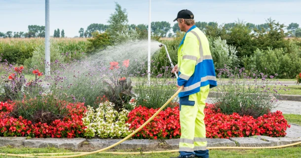 DCM ProLico® Flower – the ideal liquid fertiliser for municipal flowering Thumb