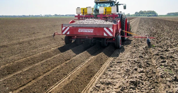Higher yield in organic potatoes with DCM VIVISOL®-AGRI Thumb