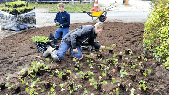 Landscaping company Satter Hoveniersbedrijf uses DCM soil improvers for good soil life and resilient plants Thumb