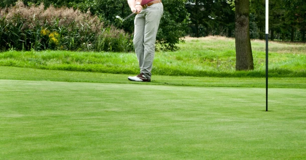 Grass recovers faster from salt stress with REDU-ACT® Thumb