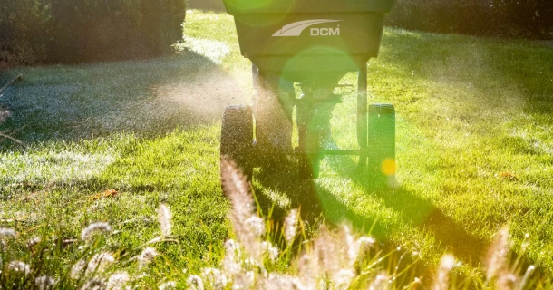 Step-by-step plan for a dense and strong lawn in winter Thumb