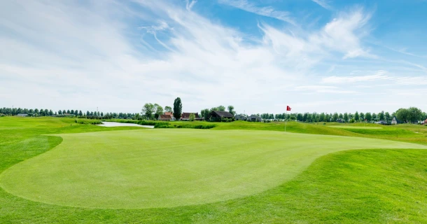 DCM TURF-MIX extra long-lasting nitrogen-rich formula for grass Thumb