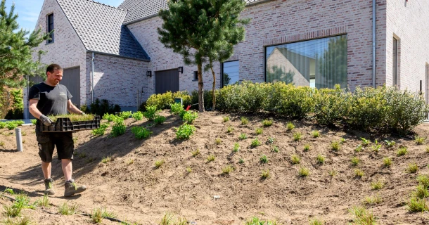 Creating drought-resistant gardens: how to build resilience to heat Thumb