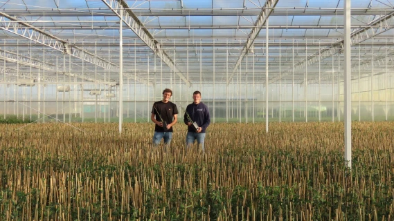 Streng Growers convinced of hybrid fertilisation in container cultivation Thumb