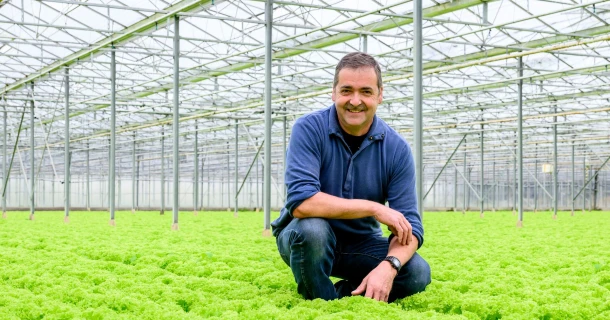 99,98% harvestable lettuce : this is how DCM helps Bert de Keyser achieve an almost perfect lettuce crop Thumb