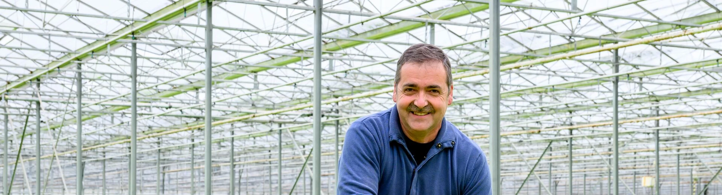 Header image alt