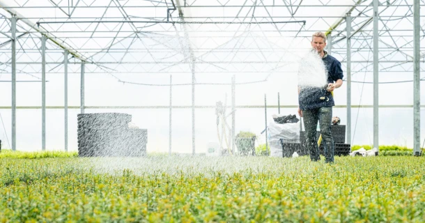 Foliar feeding in tree nurseries: 7 success factors for maximum yield and plant quality Thumb