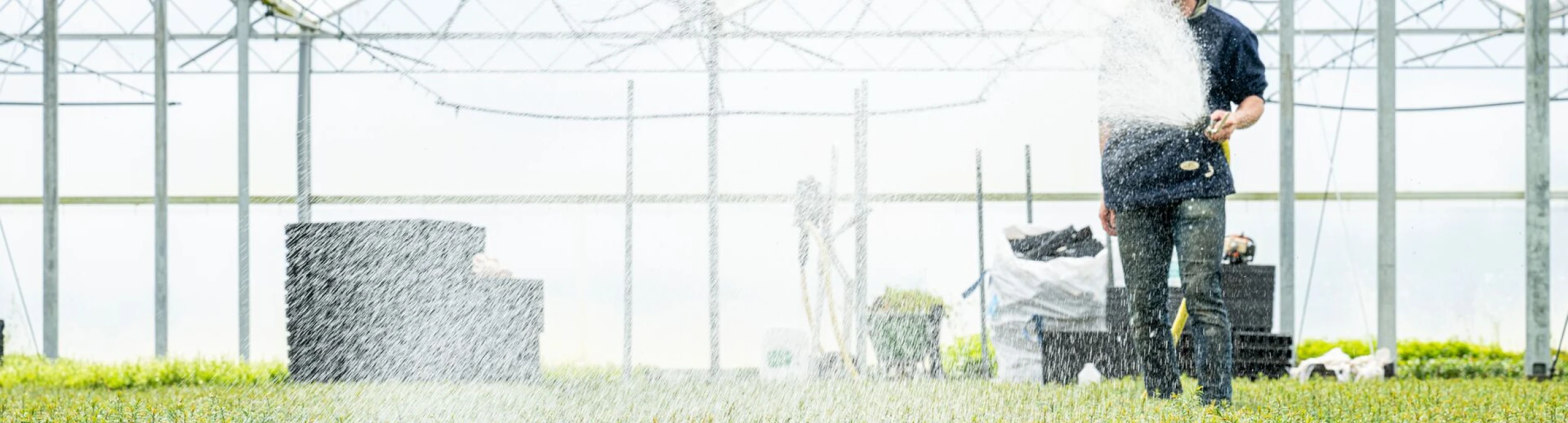 Header image alt