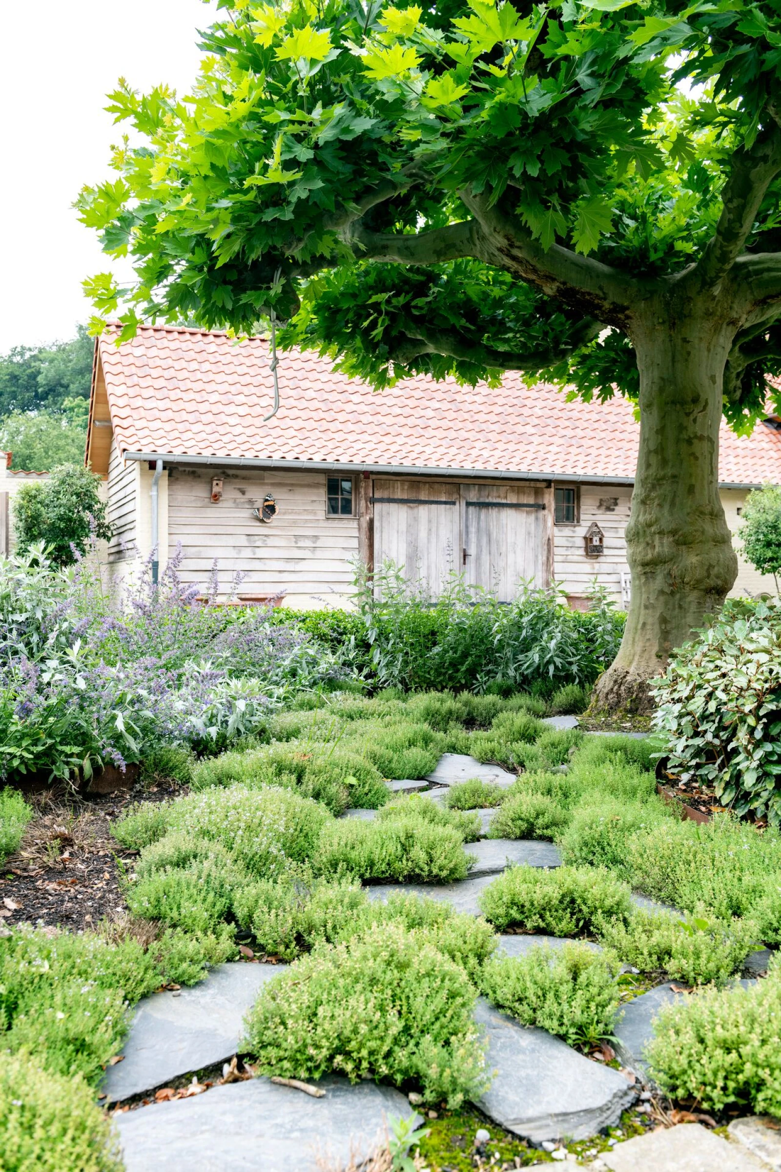 sfeer tuinpad leisteen