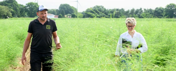 De Pleynhoeve sees improved soil structure in its asparagus beds thanks to DCM MIX 5 Thumb