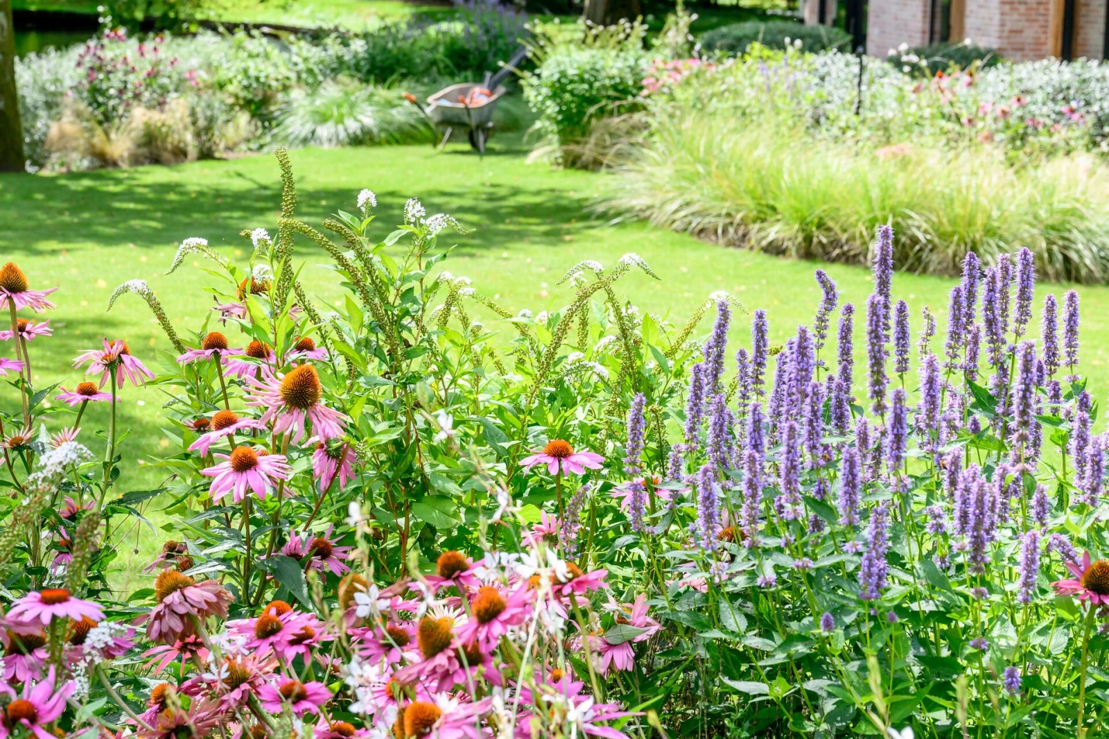 minder gazon meer planten