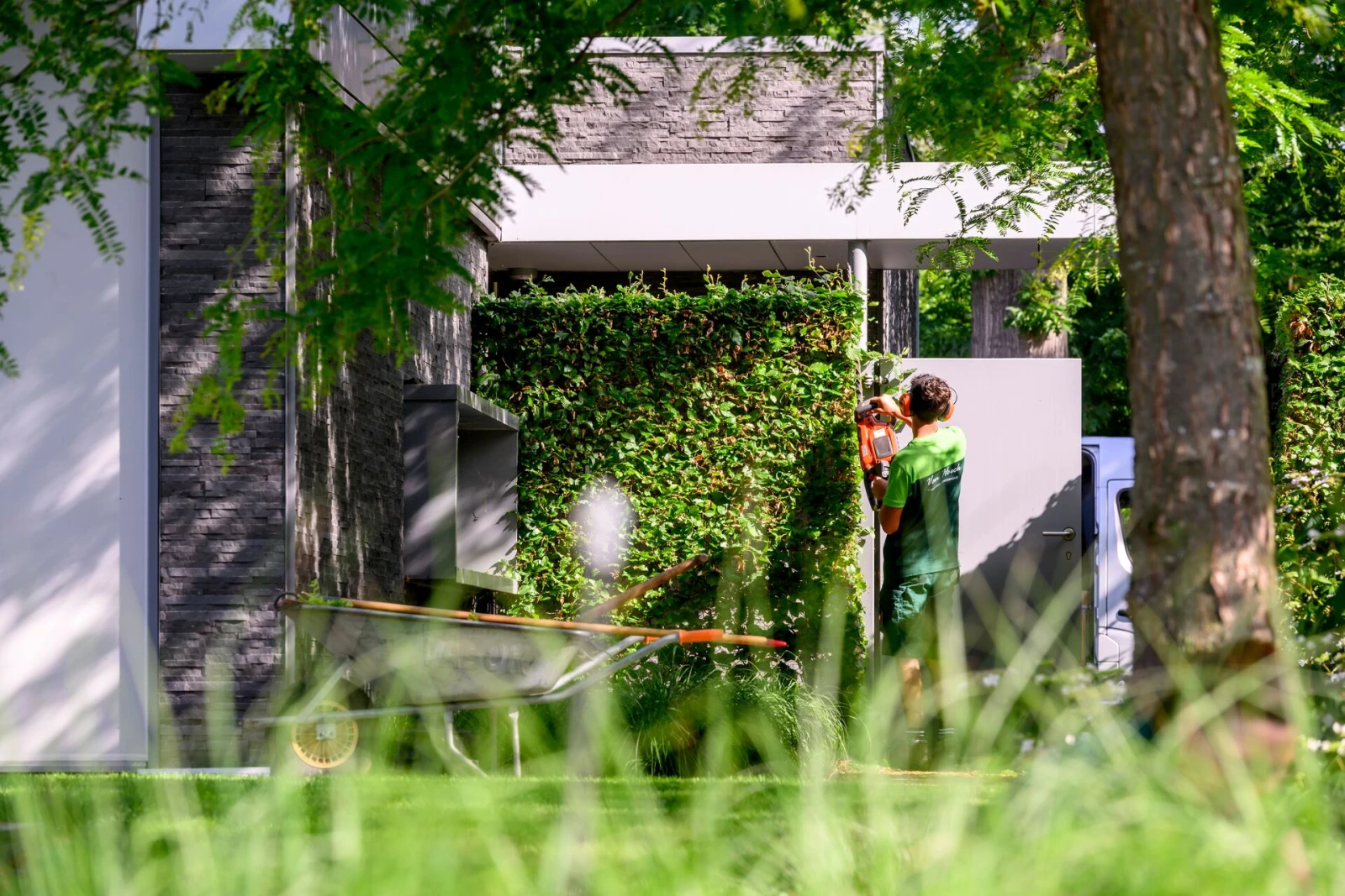 sfeer onderhoud hagen snoeien